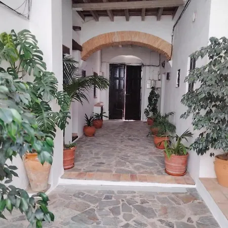 Apartment Oliva Loft