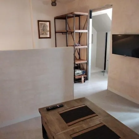 Oliva Loft Apartment *